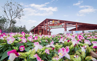 老子有钱lzyq88(中国)有限公司